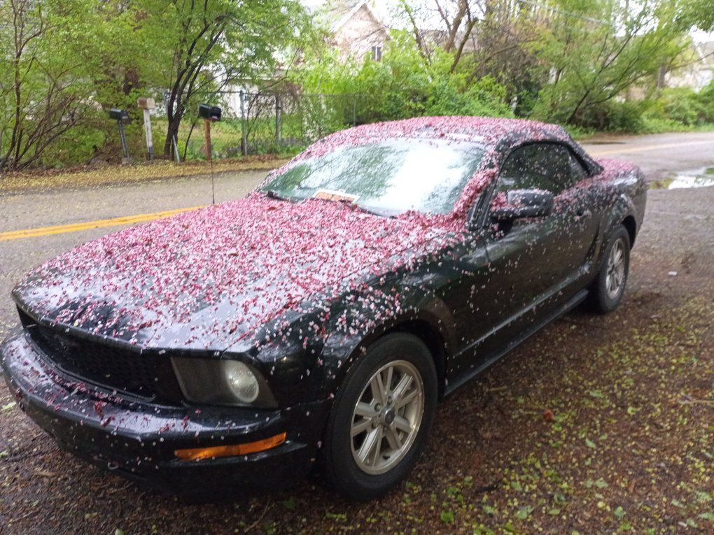 2006 Ford Mustang V6