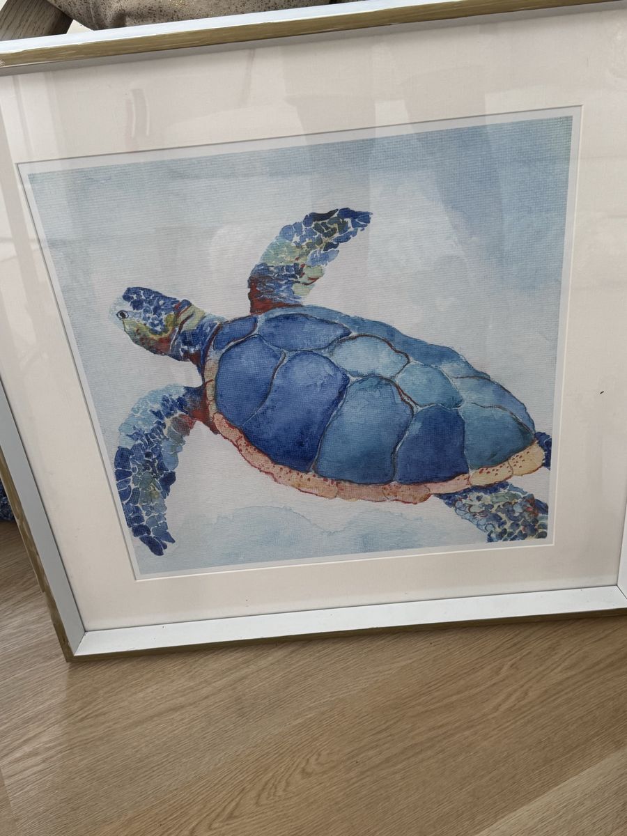 Watercolor turtle picture