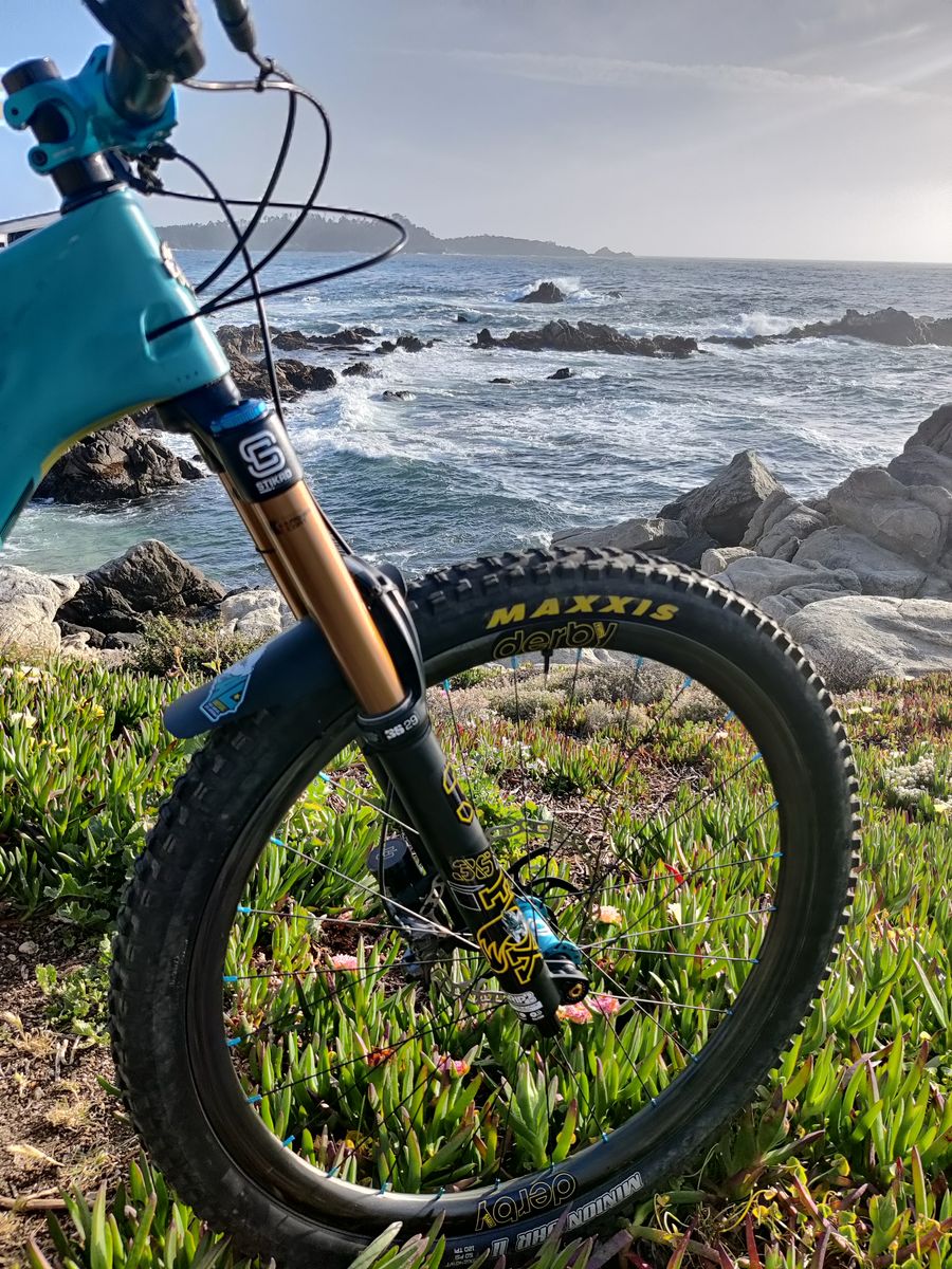 Derby Carbon Rims -- Locally Owned -- NICA Discount