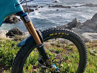 Derby Carbon Rims -- Locally Owned -- NICA Discount