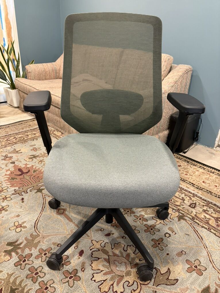 LIKE NEW Branch Ergonomic Pro Chair