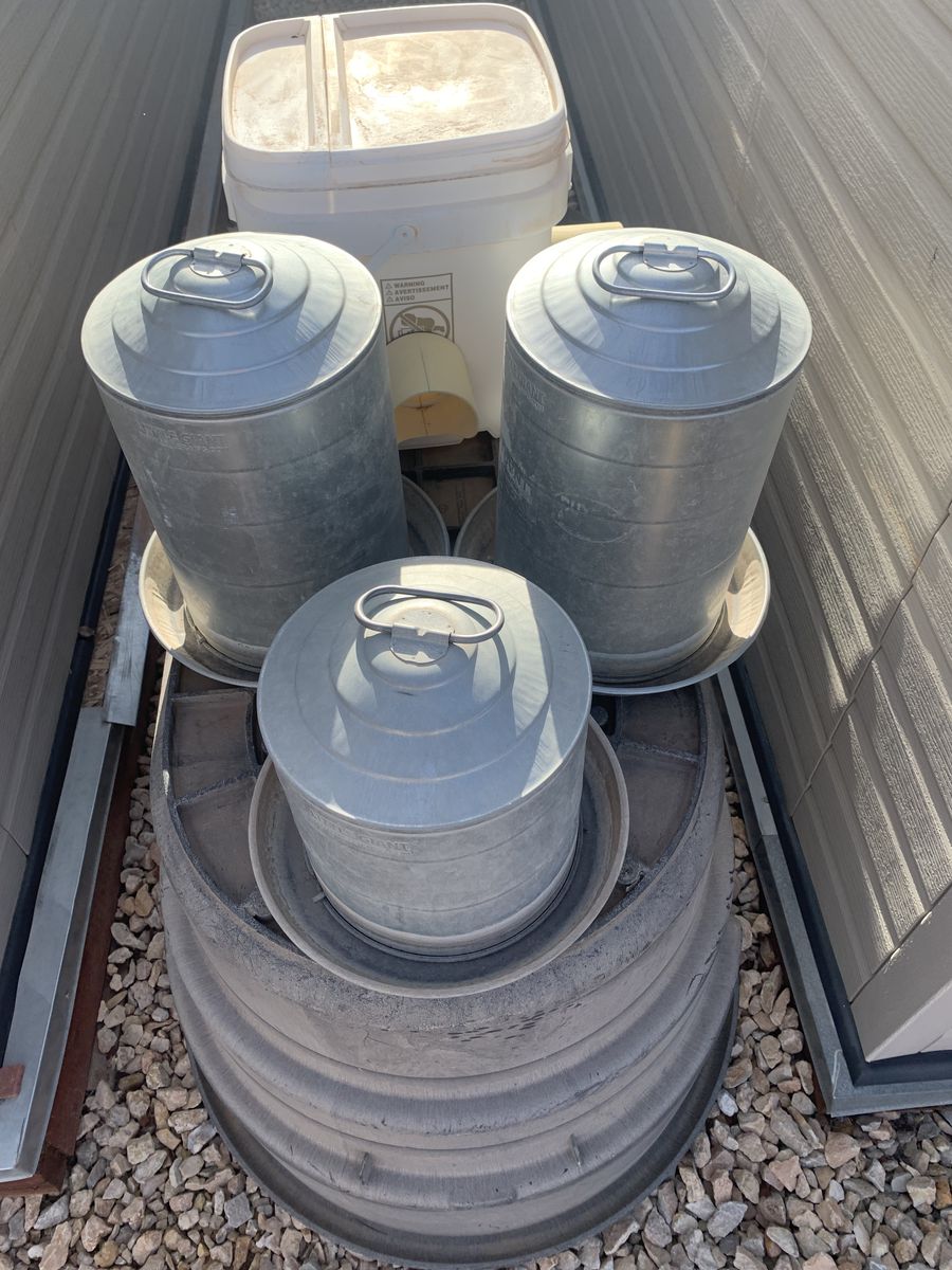 Hen House Chicken Waterers