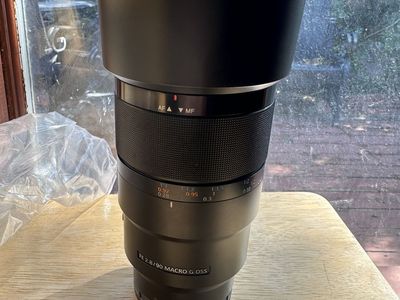 New sony 90mm f2.8 macro lens