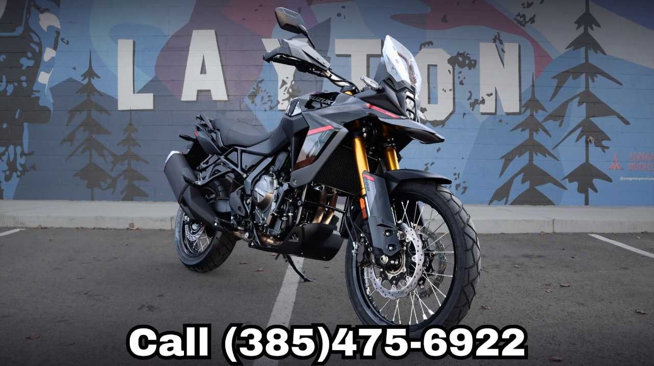 2025 SUZUKI V-STROM 800DE