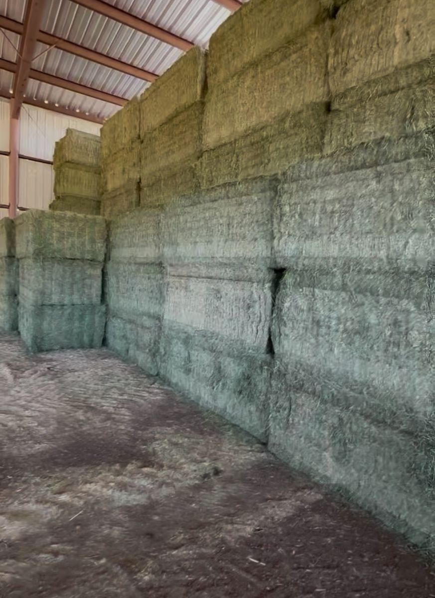 $270/TON ALFALFA