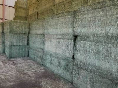 $270/TON ALFALFA