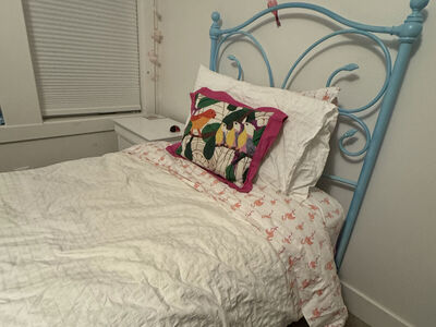 Twin Iron Bed and Mattress