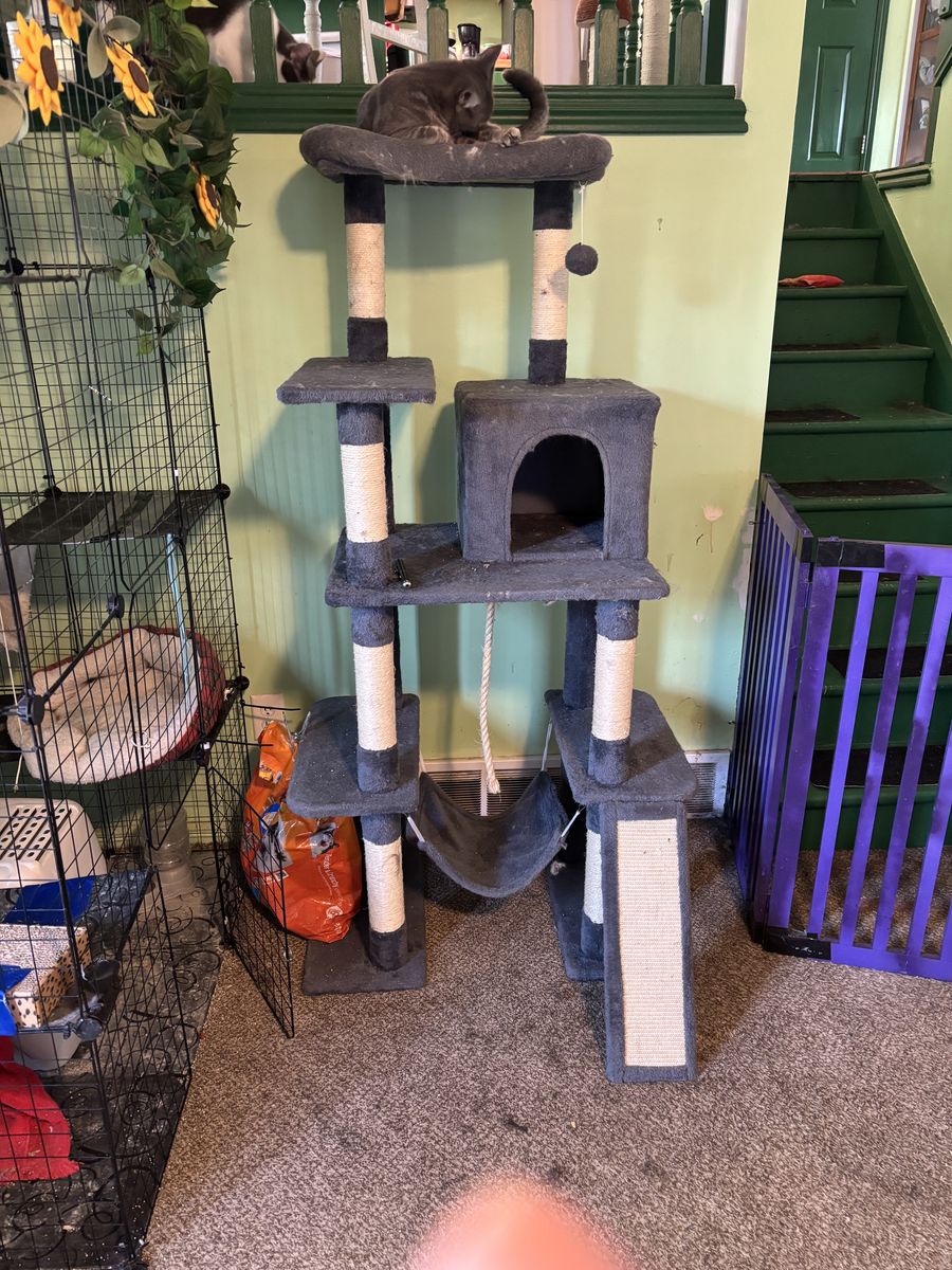 Cat tree