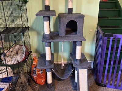 Cat tree