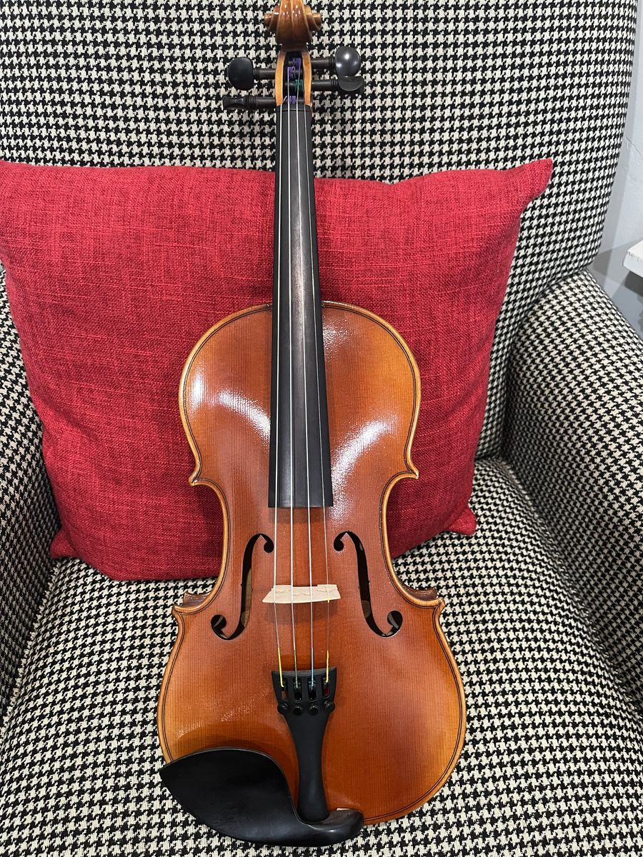 Ebony Strings Symphony Series V200 Violin Package
