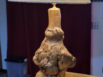 Rustic Hand-Carved Burl Wood Table Lamp with Deer Antler Shade Design
