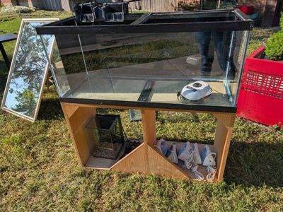 75 gallon tank