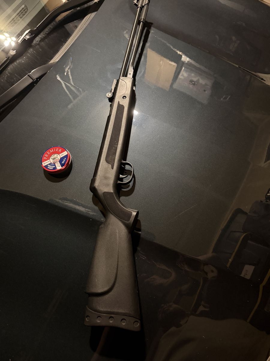 .22 Caliber Pellet Air Gun