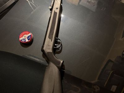 .22 Caliber Pellet Air Gun