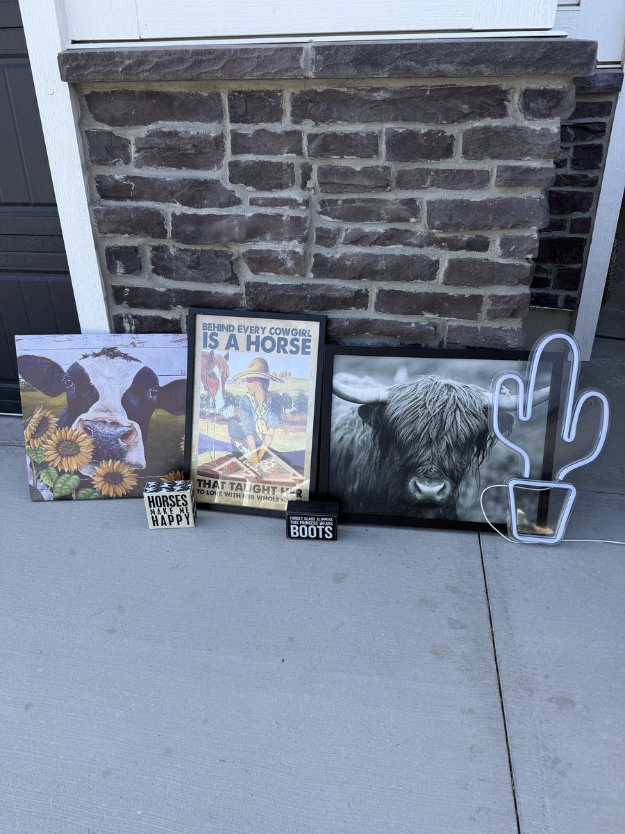 Cowgirl / Western Room Decor Bundle