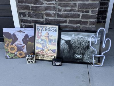 Cowgirl / Western Room Decor Bundle