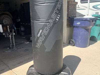 Punching bag