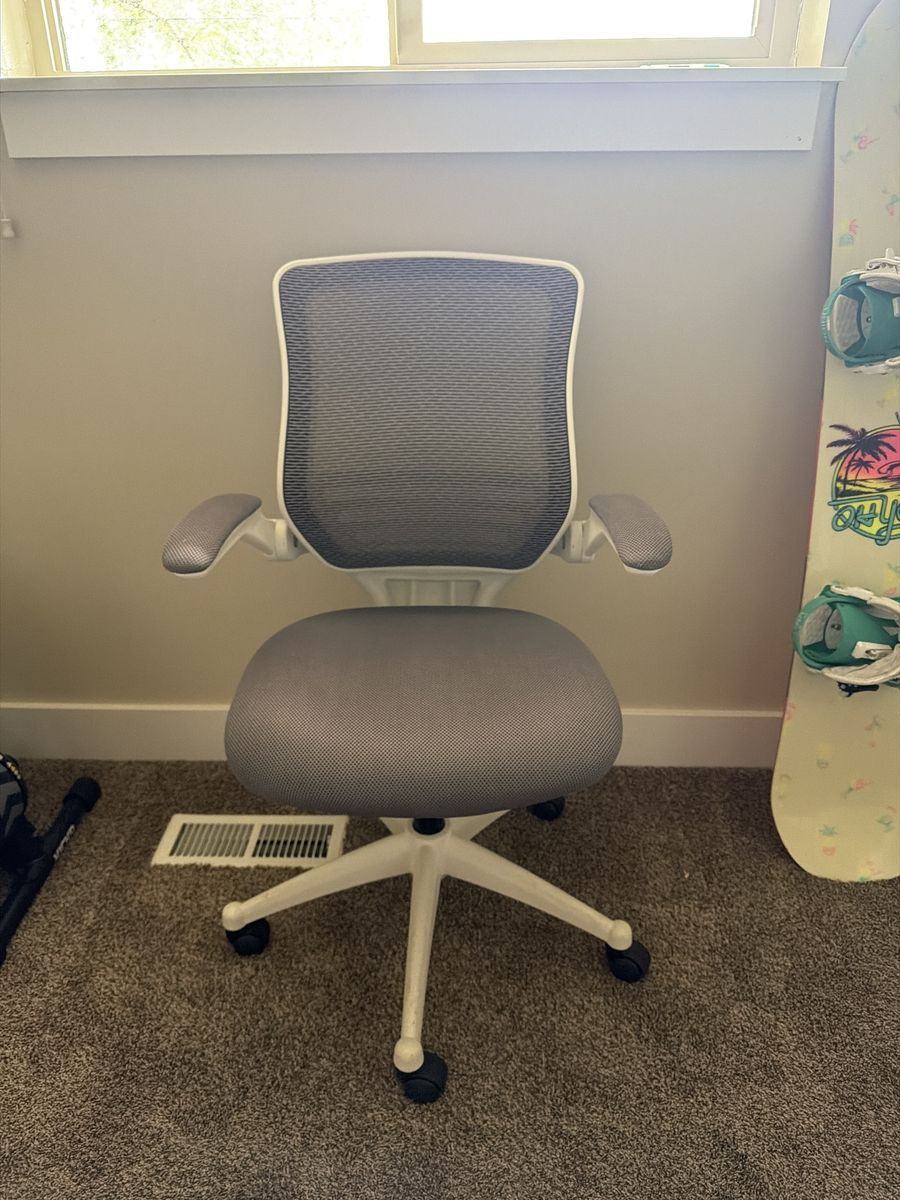 Gray Mesh Ergonomic Office Chair with Armrests and Casters - Excellent Condition