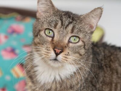 Hello my name is Blakely