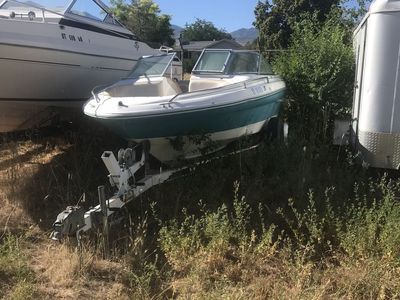 SeaRay Boat and Trailer