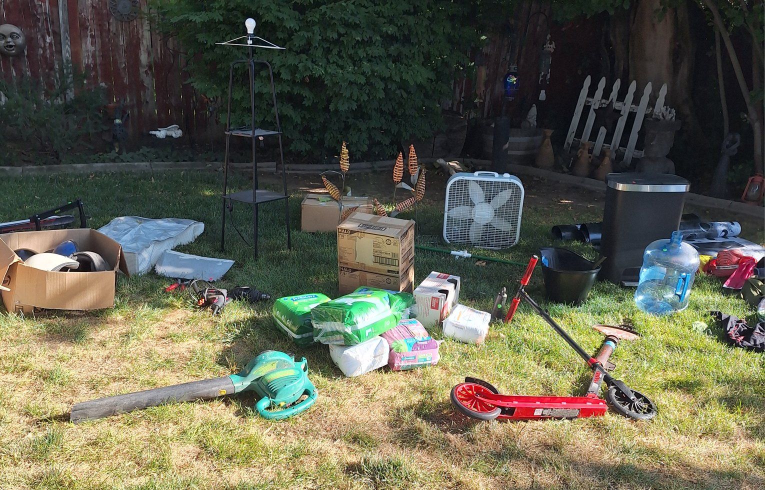 Main image 7