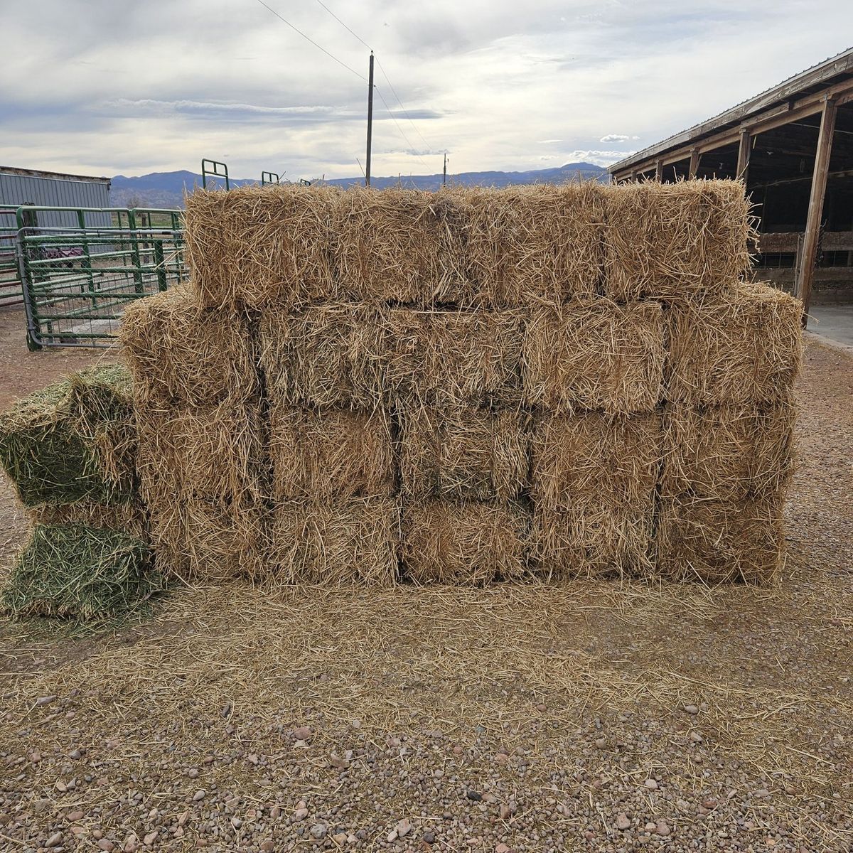 4th crop hay for sale