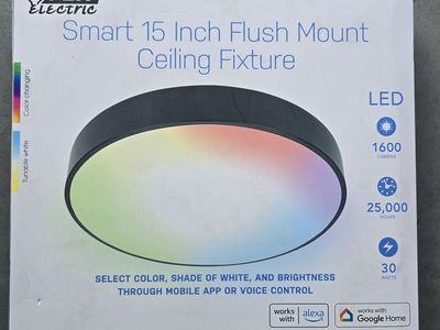 NEW Electric Smart Ceiling Light Fixture 15" Round Flush Mount