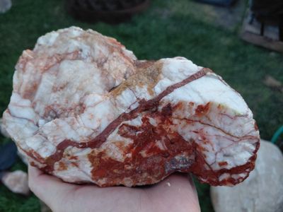 Natural Fluorescent Mineral Rock Specimen - Unique Collectible Gemstone, some polished. please help a mom make a living if anyon