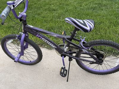 Purple Bike