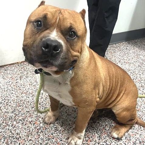 Hello my name is Zach