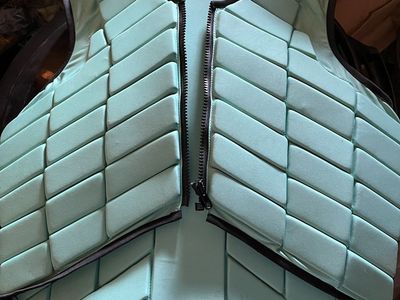 Safety riding vest, 76” winter blanket, fly masks