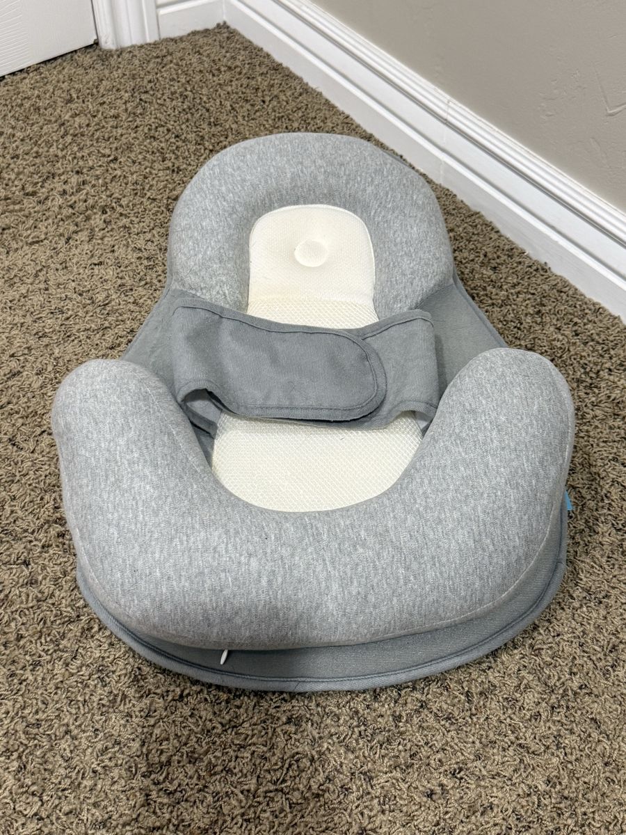BabyBliss DreamNest Infant Baby Bed Lounger in Gray