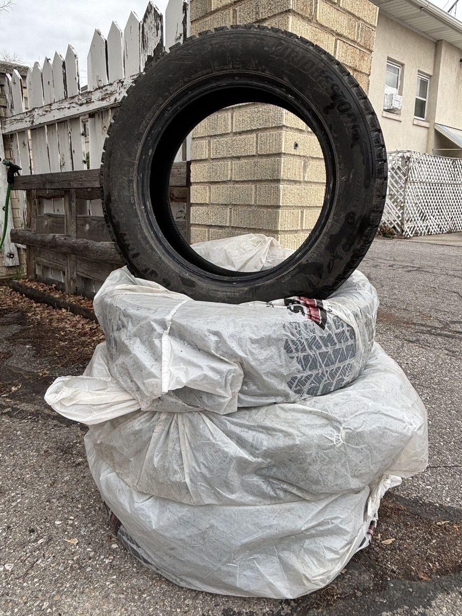 Snow Tires: Bridgestone Blizzak WS90 175/65R15 84H