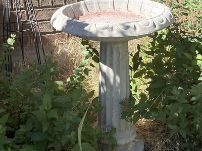 Classic Stone Bird Bath - Outdoor Garden Decor