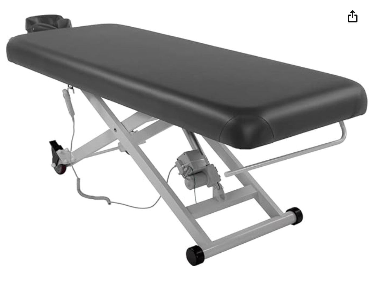 SKINACT Stella Electric Medical Spa Treatment Table (Facial Chair/Bed) ADA Compliant (Gray)