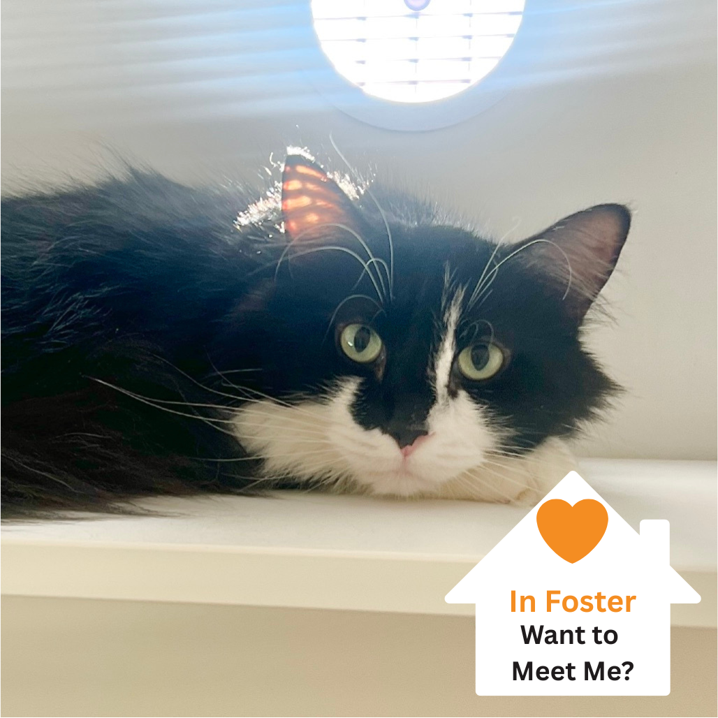 Hello my name is Penelope