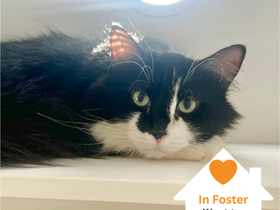 Hello my name is Penelope