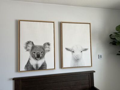 Baby Animal Framed Canvas Prints