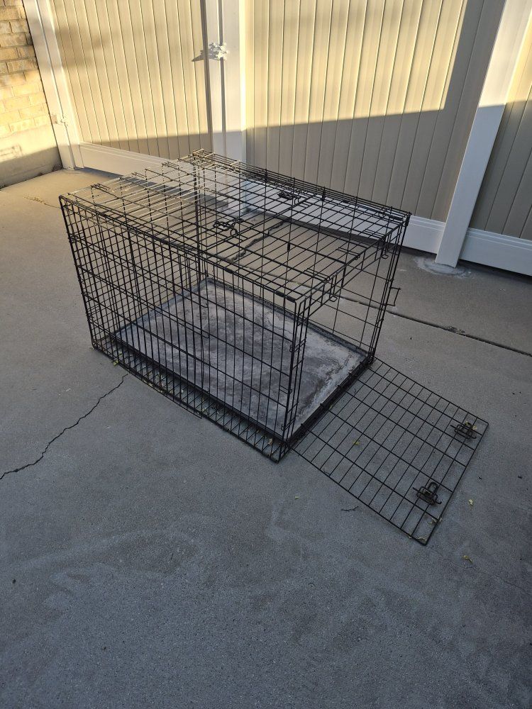 dog kennel