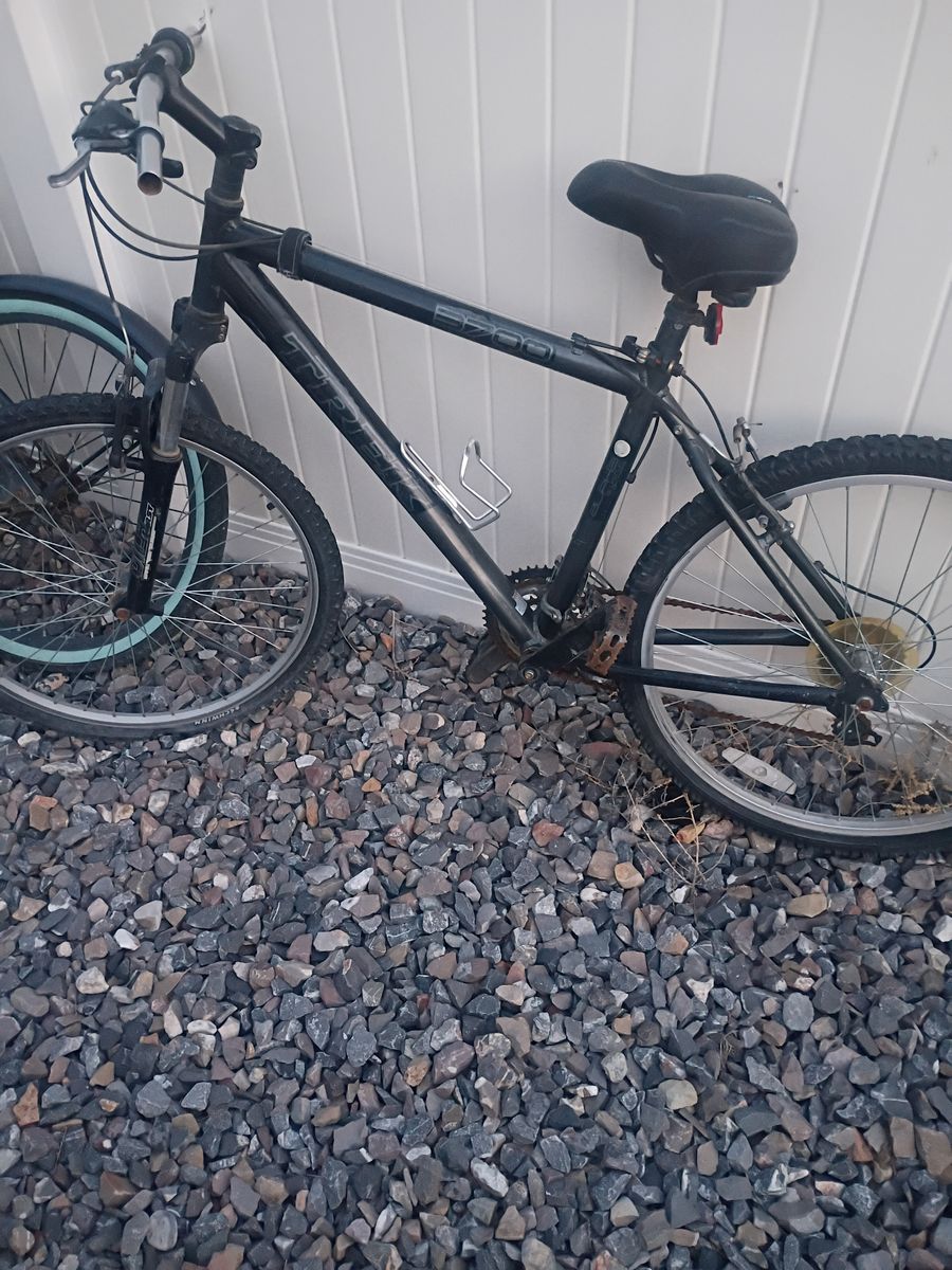 Free bike