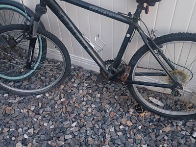 Free bike