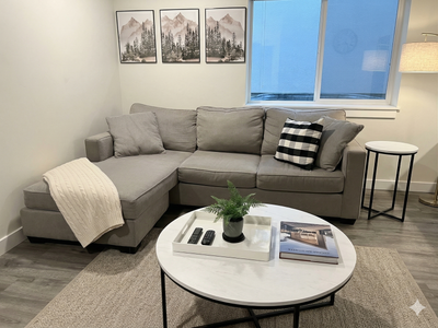 Nice, Modern, Comfortable Sectional