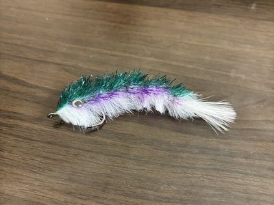 Trout Changer (Rainbow) Streamer for Fly Fishing