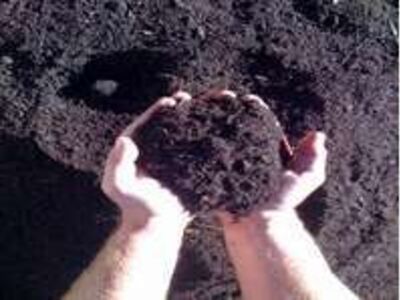 Black Organic Gardensoil