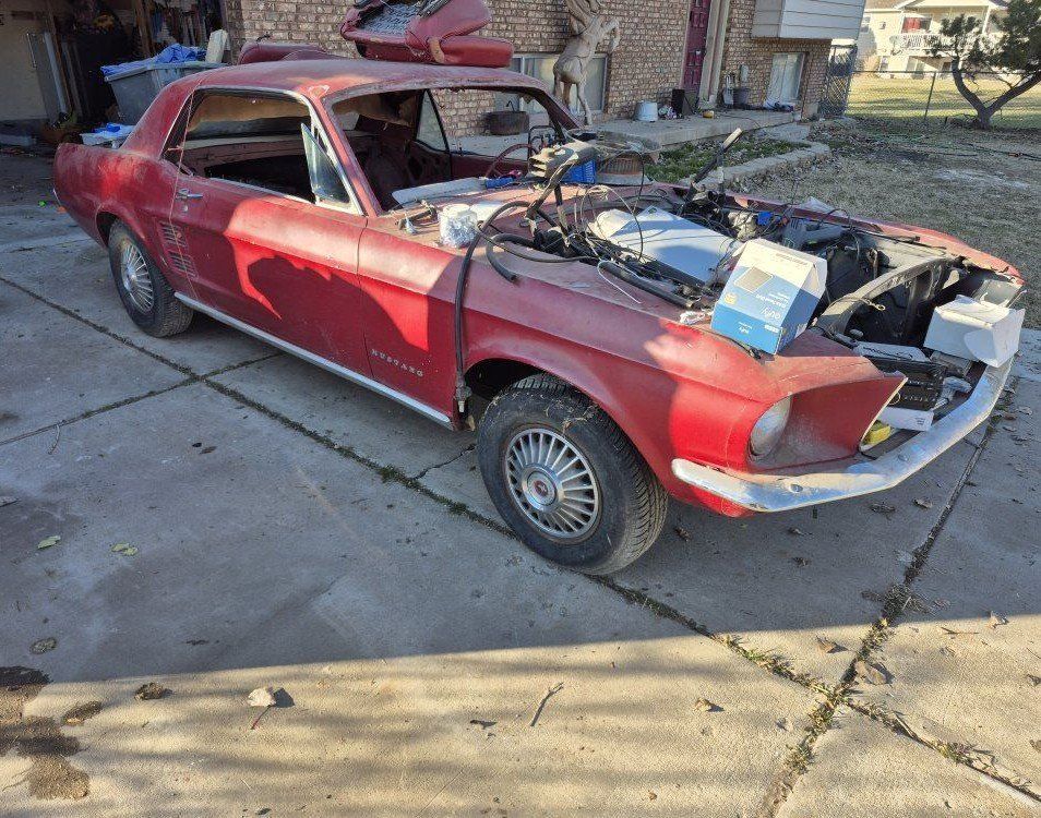 1967 mustang
