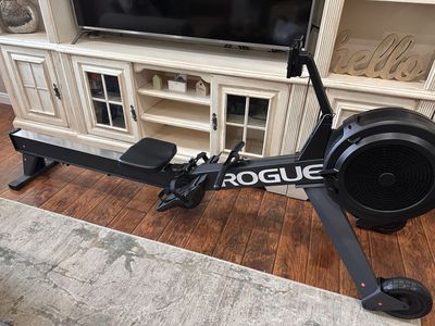 Rogue Echo Rower (Like New Condition)