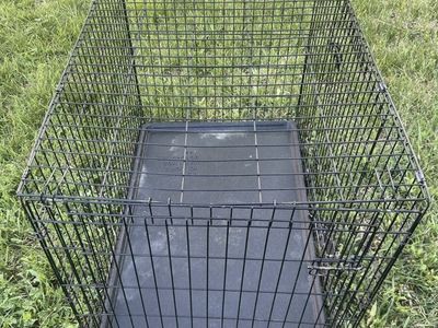 Kennel medium size
