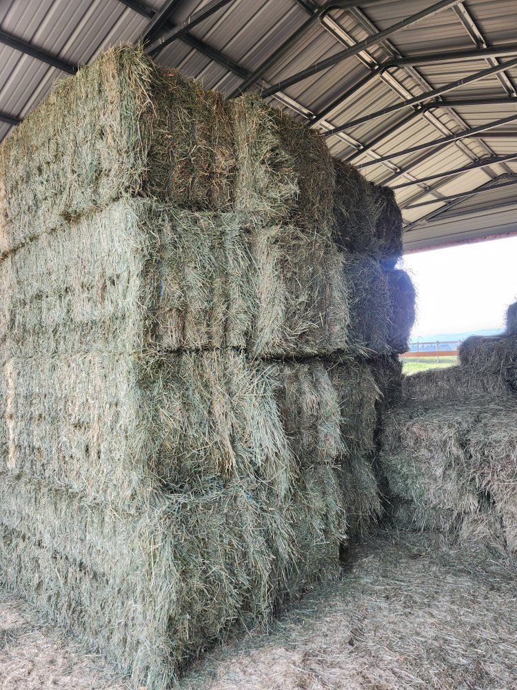 Hay for sale 3x3x8