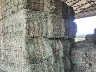 Hay for sale 3x3x8