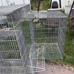 Giant Bird/Animal Cage